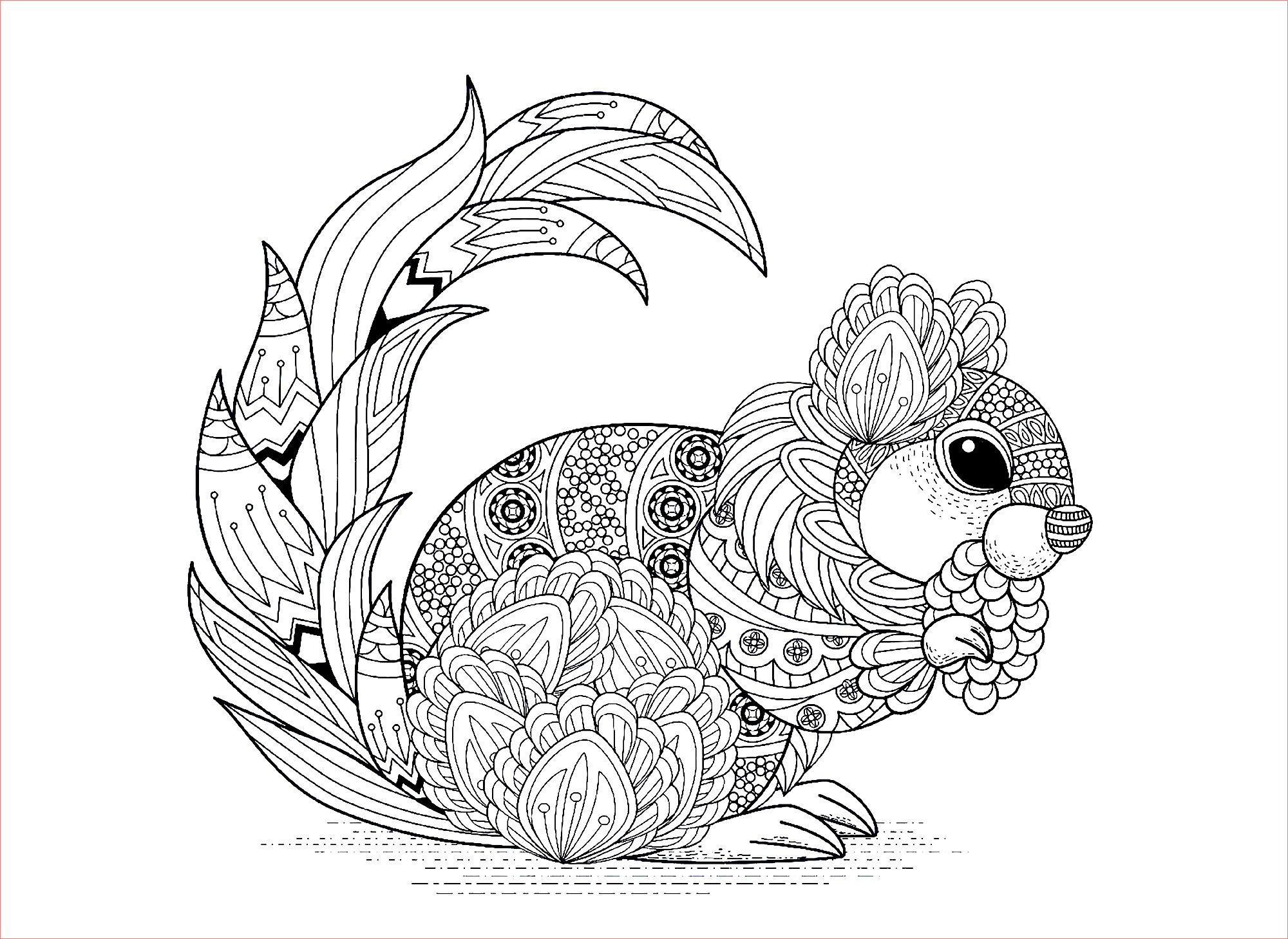 image=squirrels and marmots coloring squirrel with patterns 1