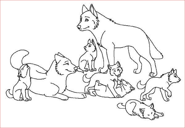 babies wolf coloring page