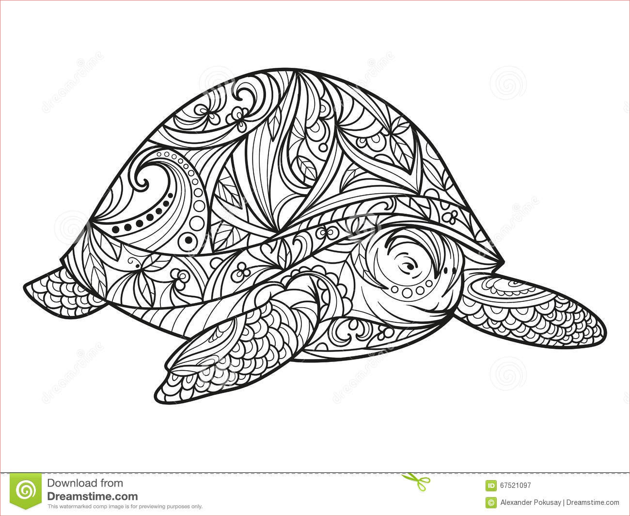 illustration stock livre coloriage tortue vecteur d adultes image