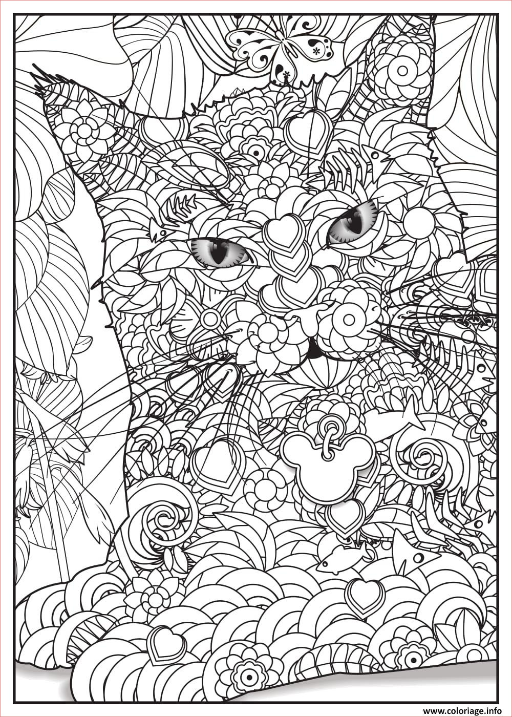 chat maine coon adulte animaux coloriage