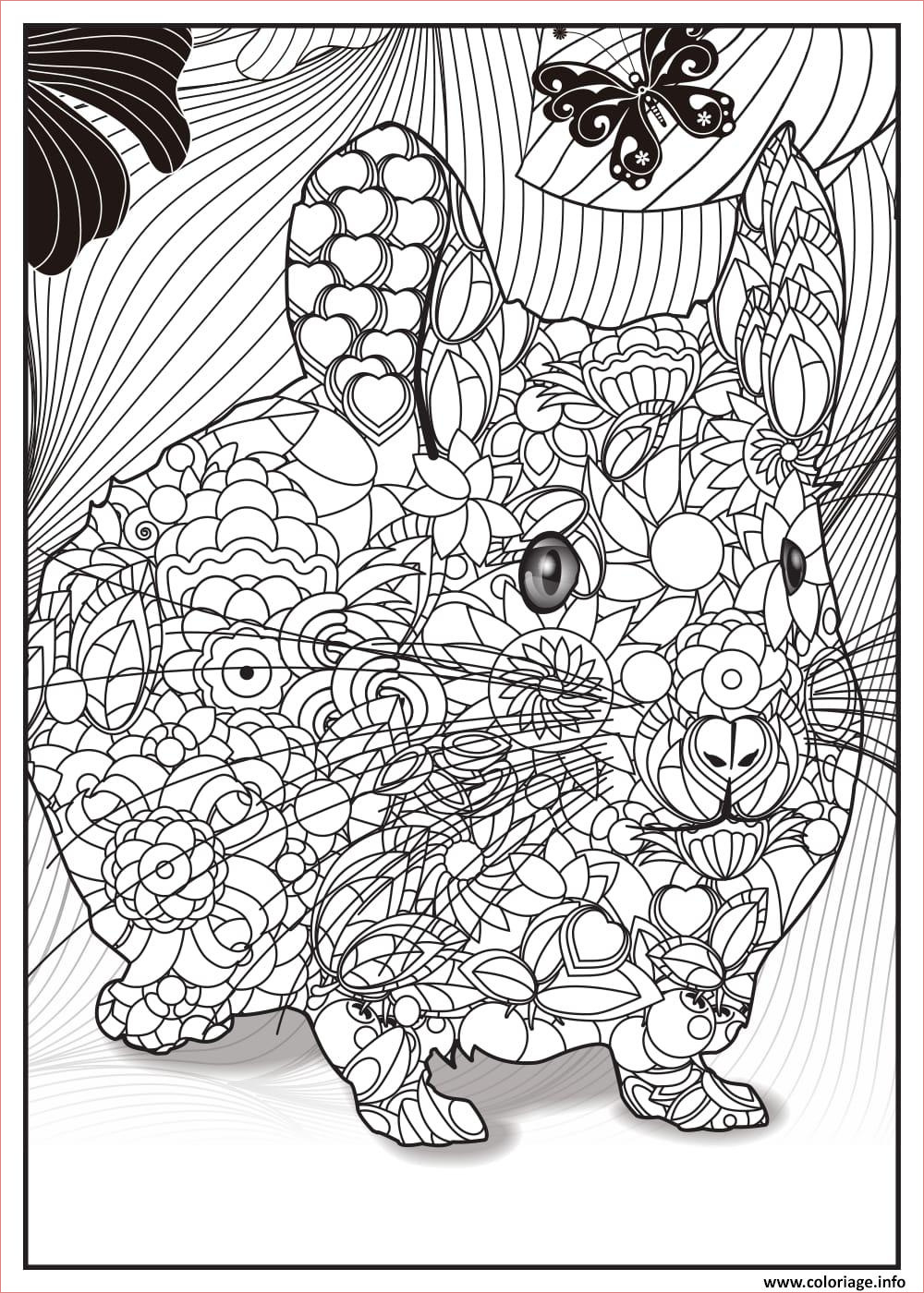 bebe lapin adulte animaux coloriage