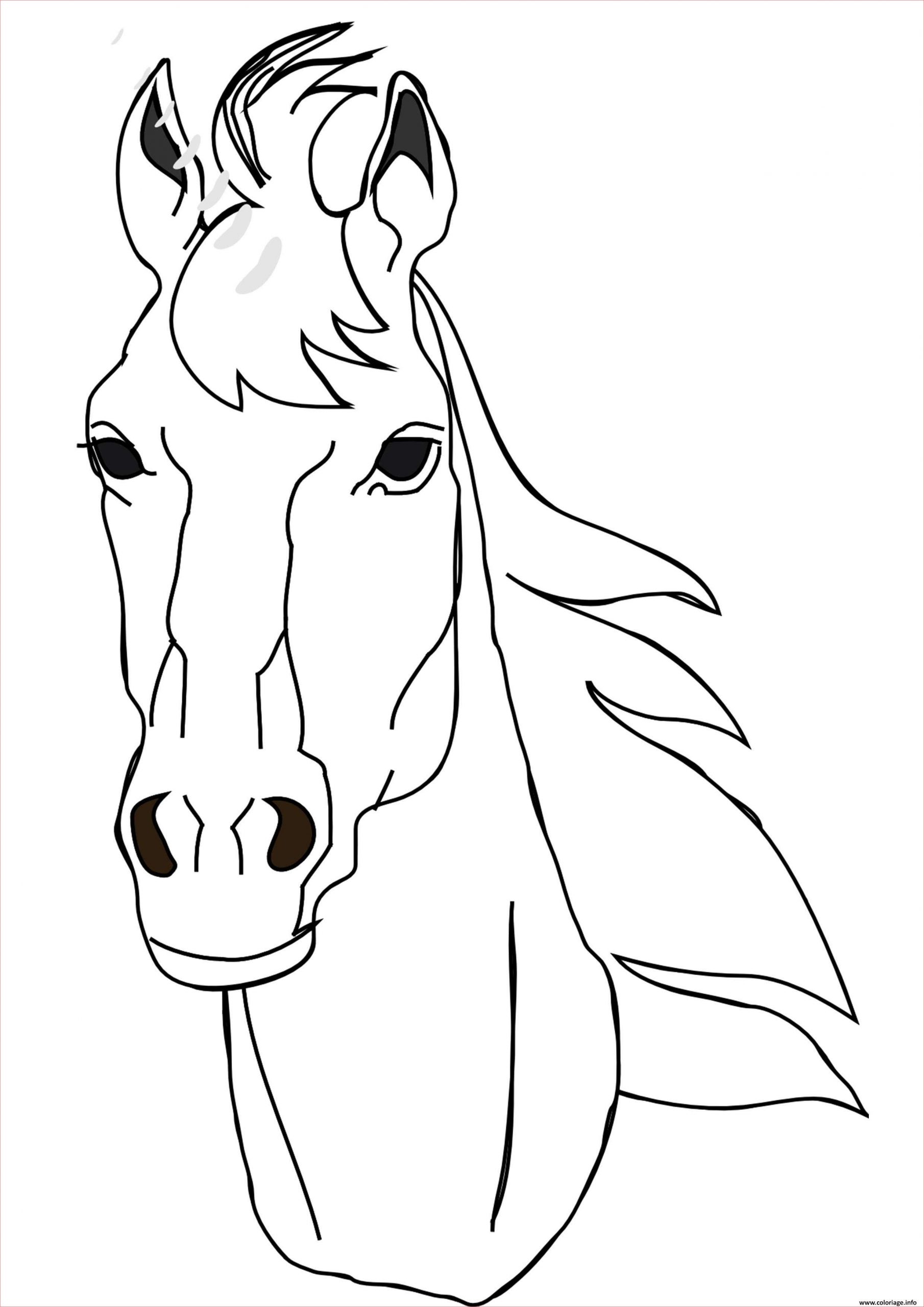cheval de face portrait coloriage
