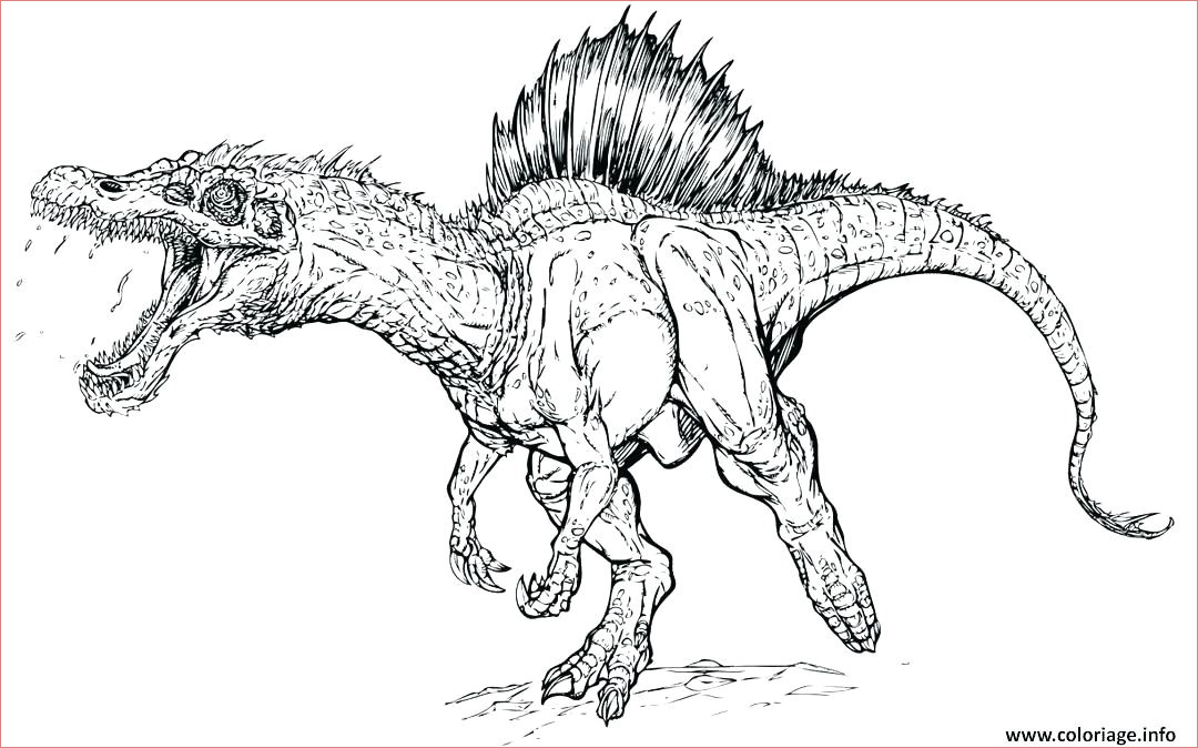 coloriage squelette tyrannosaure animaux coloriage dinosaure a imprimer coloriage bacbac dinosaure a
