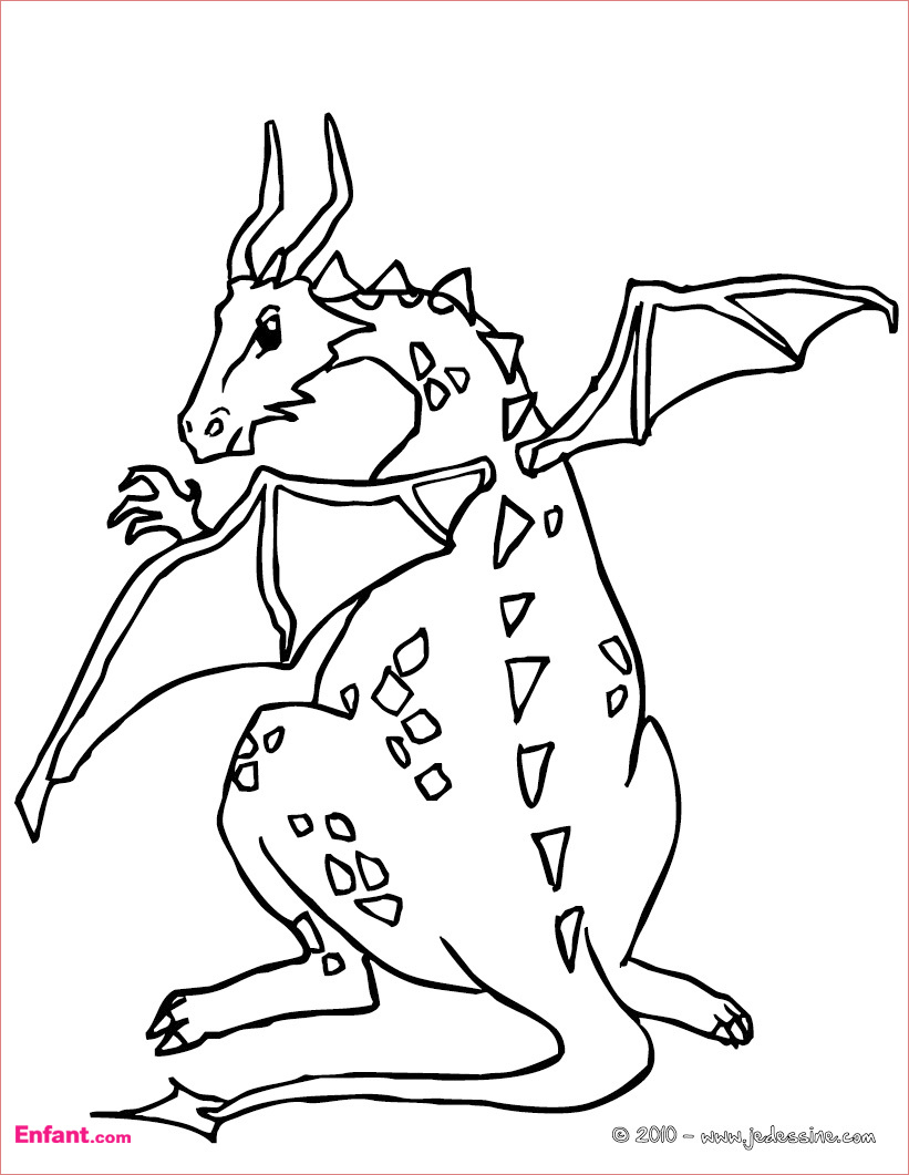 garcon dragon