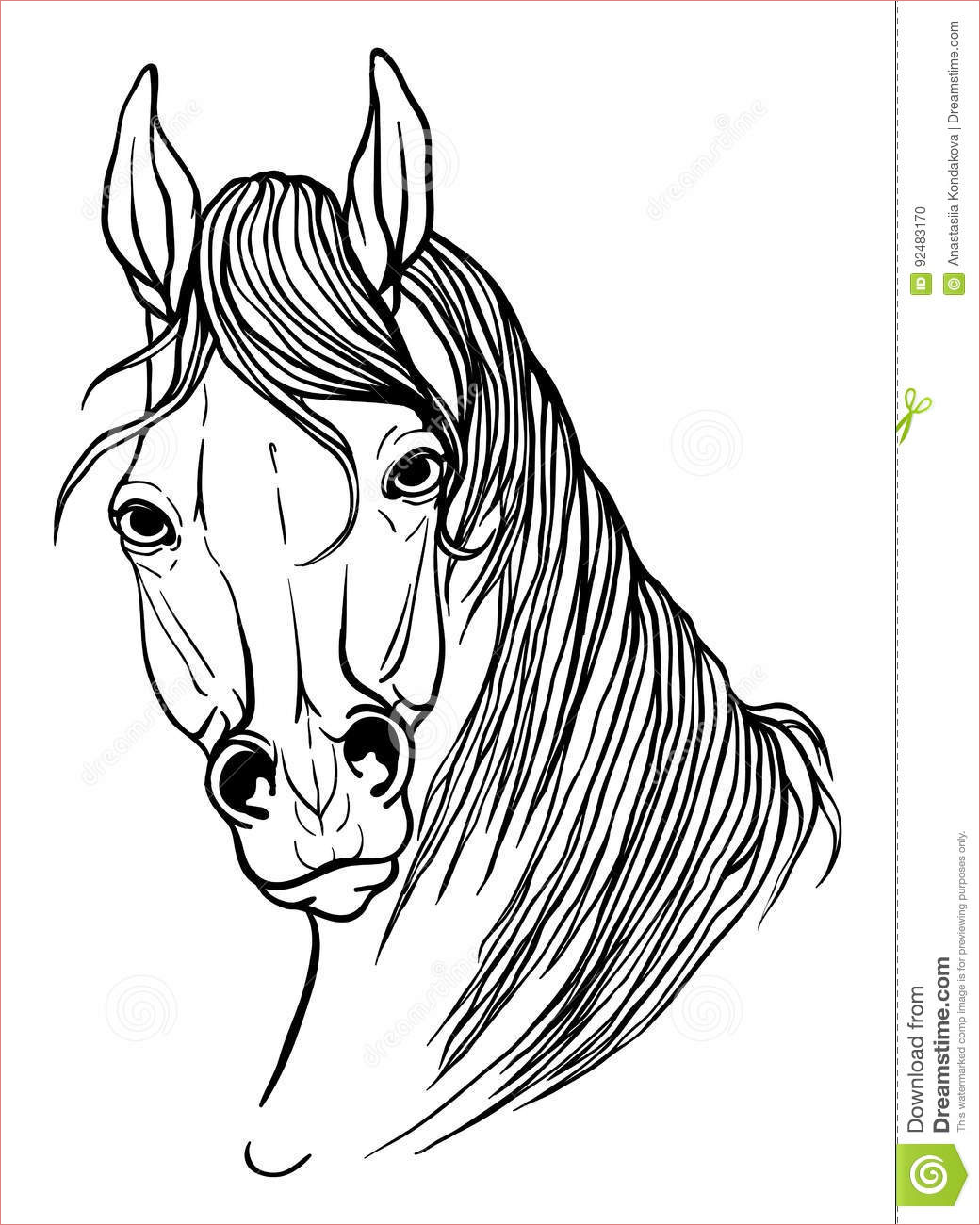 illustration stock tête cheval livre coloriage image
