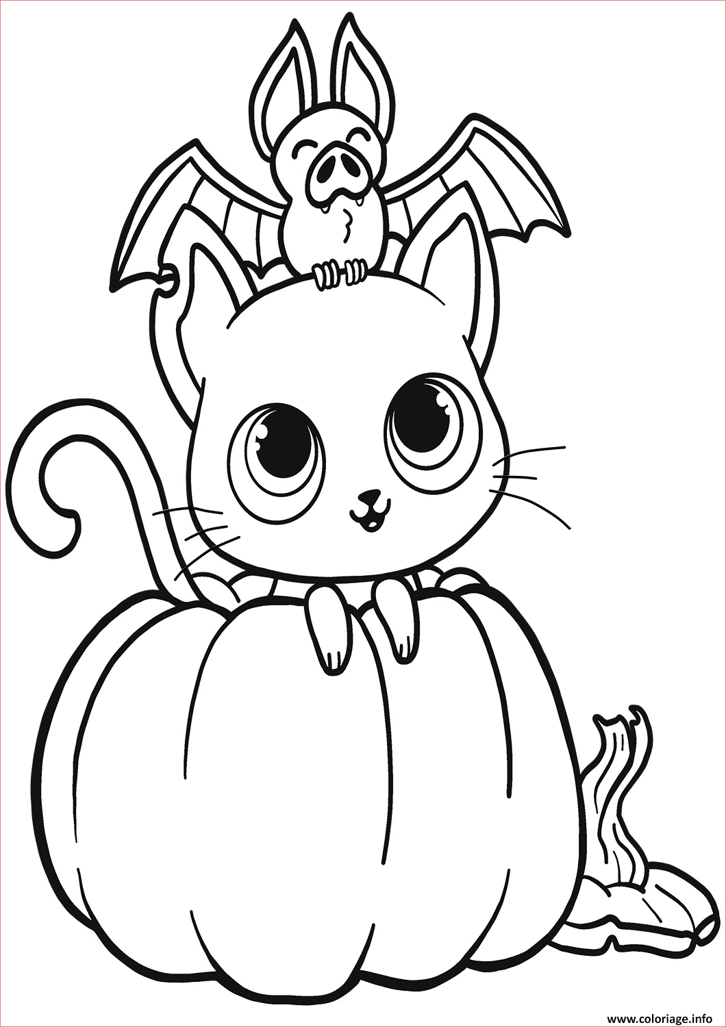 chauve souris chat citrouille halloween coloriage