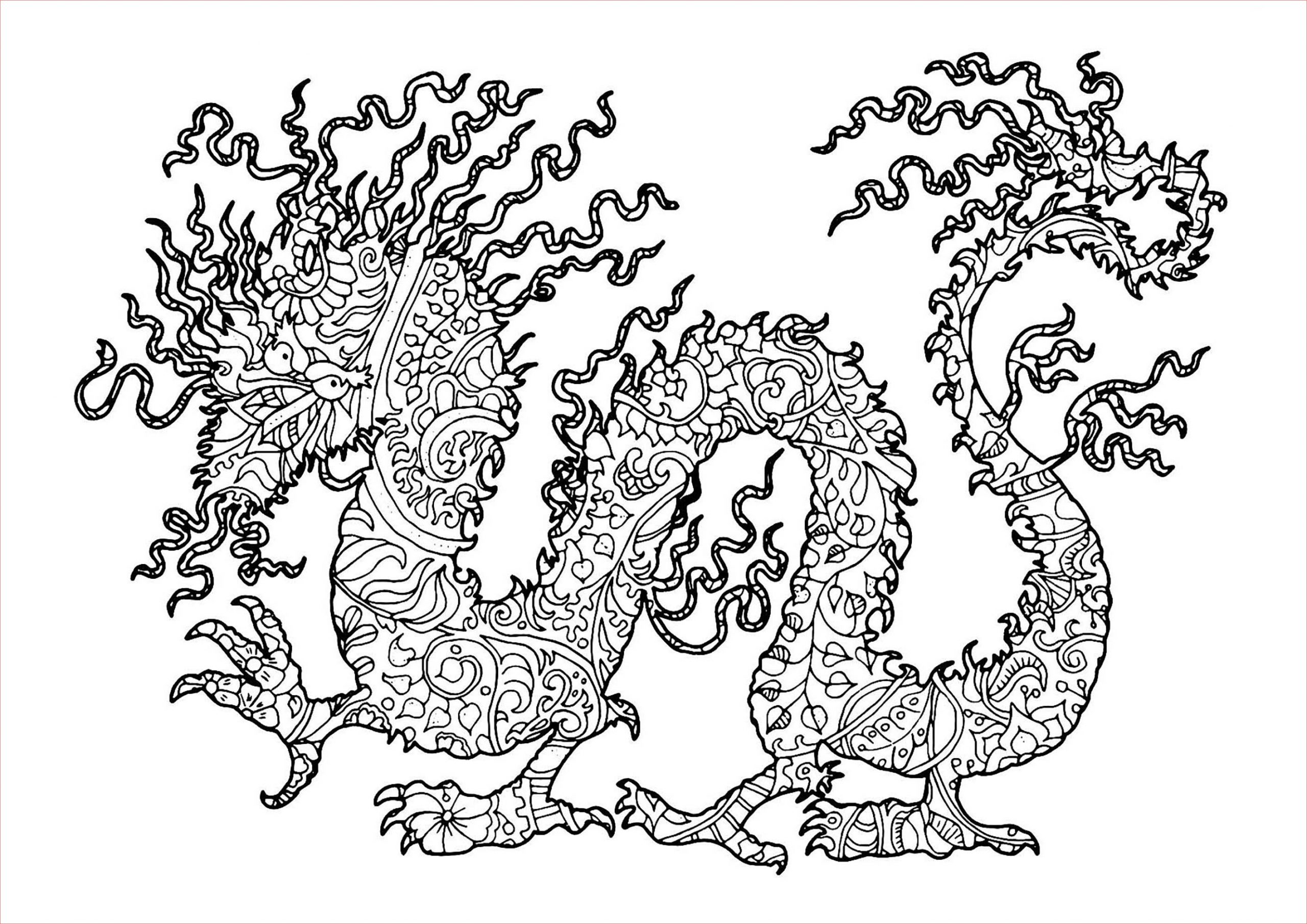 image=dragons coloring dragon plex vera 1