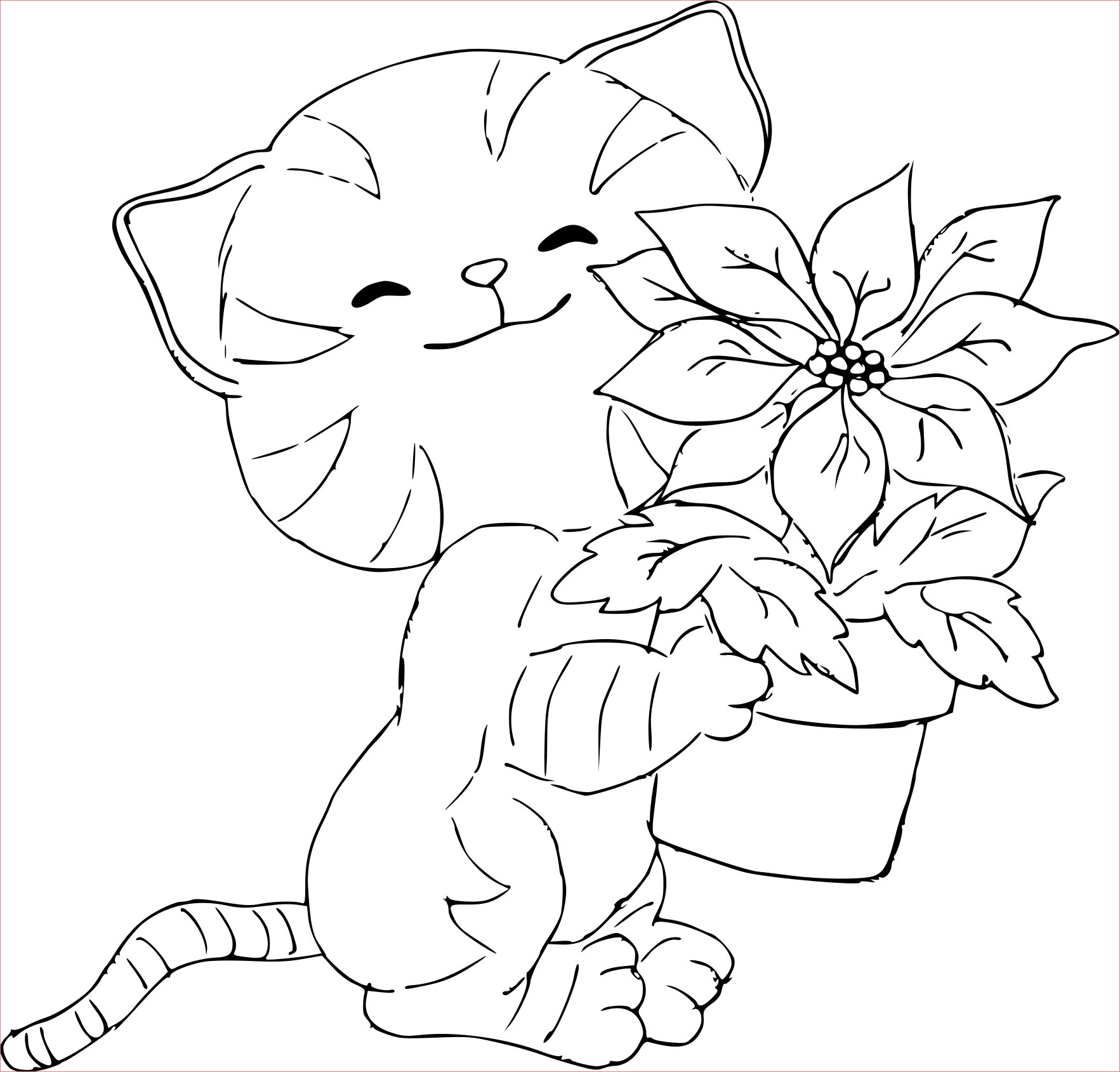 chaton et fleurs