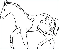8 simple coloriage cheval et poulain gallery