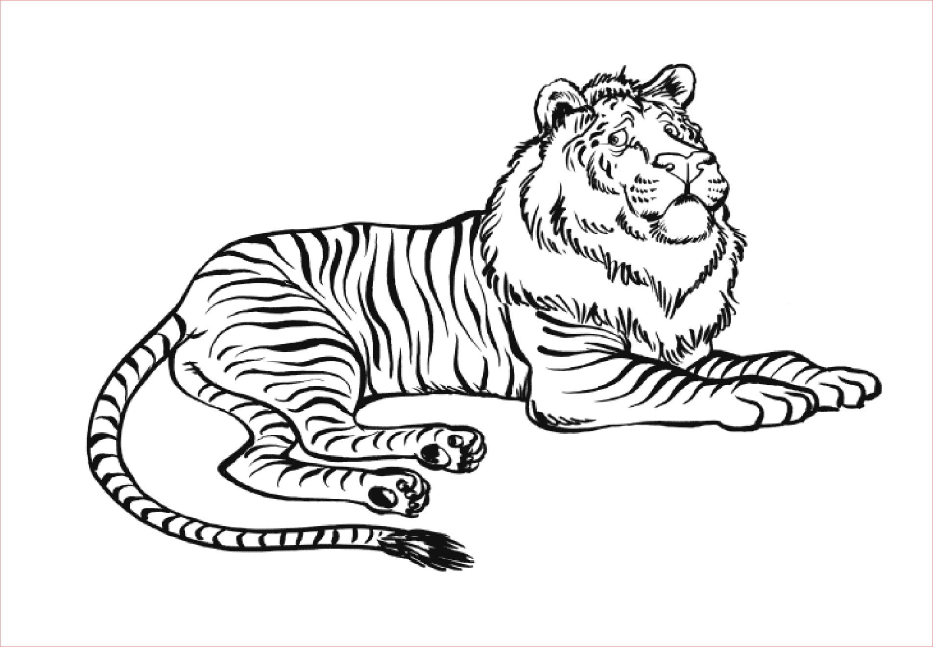 coloriage ligre lion tigre
