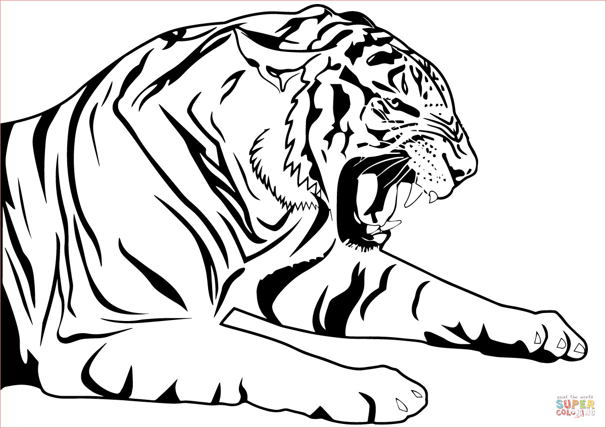 tiger 5