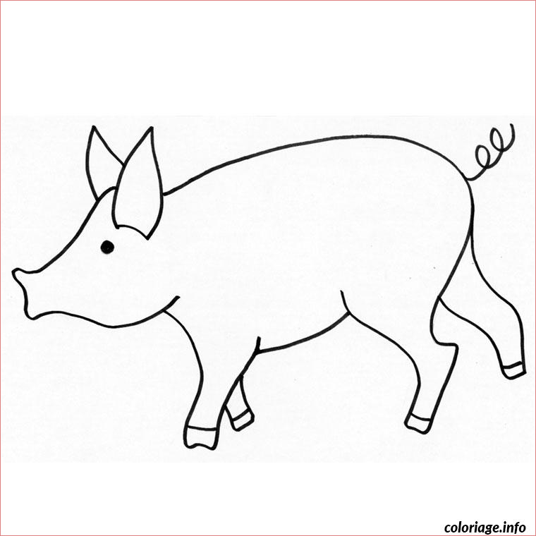cochon nain coloriage 103