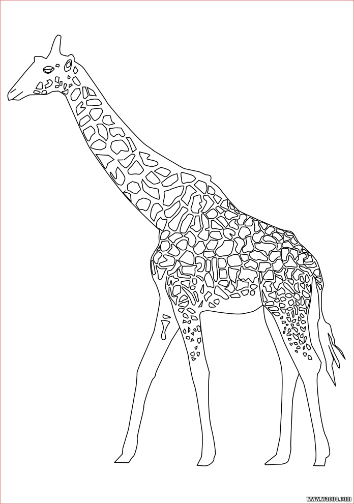 girafe coloriage