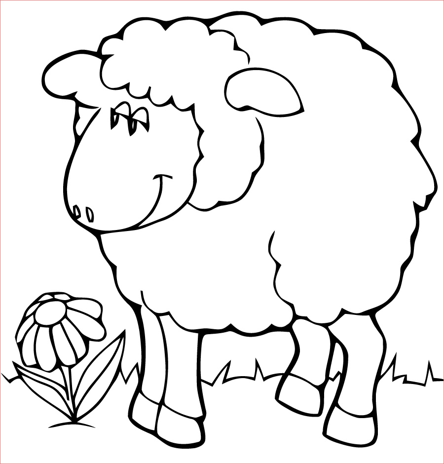 inspiration coloriage imprimer mouton