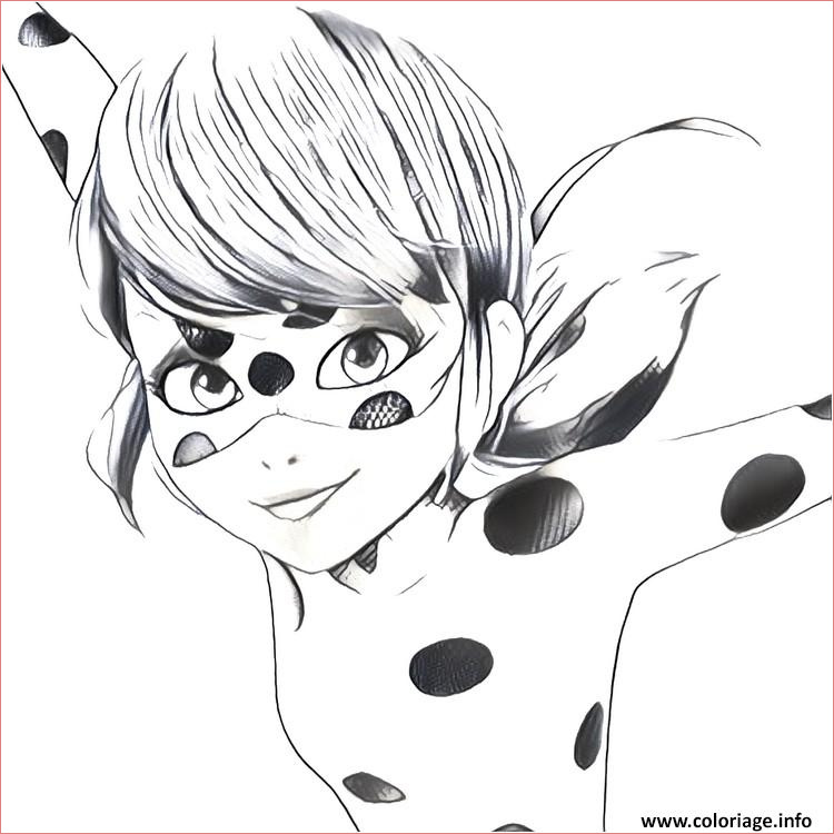 miraculous ladybug chat noir visage coloriage dessin