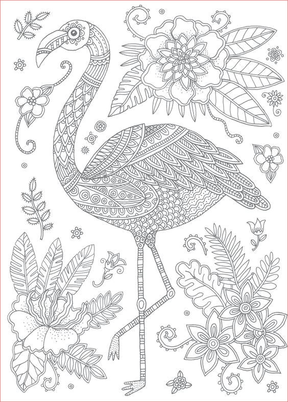 coloriage adulte flamant rose