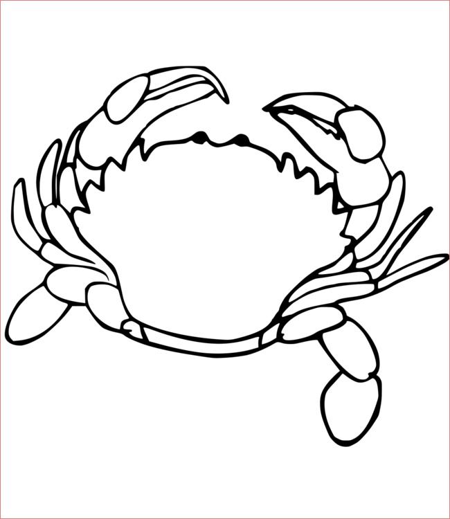 coloriage crabe num=5
