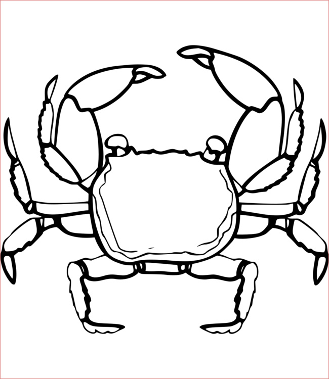crabe coloriage