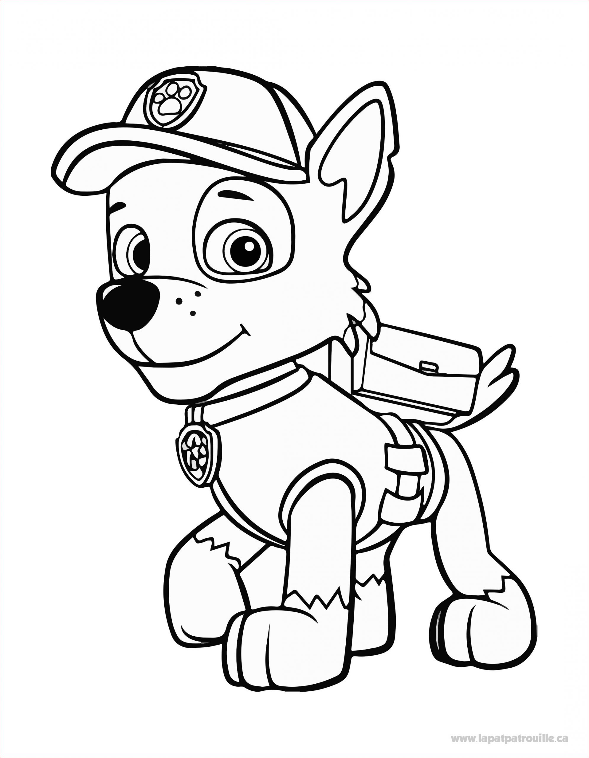 Coloriage De Pat Patrouille Élégant Coloriage De Rocky à Colorier – La Pat Patrouille