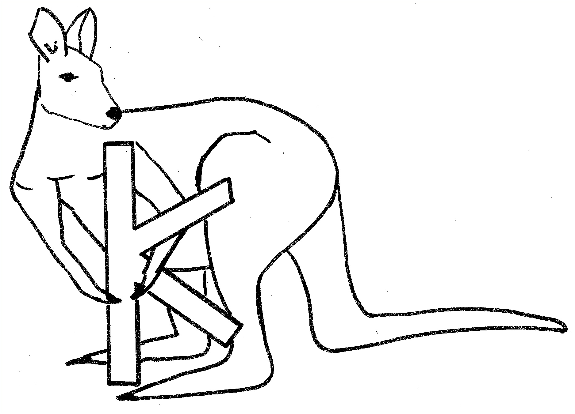 coloriage kangourou