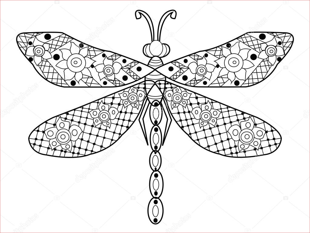 stock illustration dragonfly coloring vector for adults