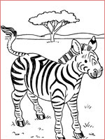 coloriage zebre sans rayure