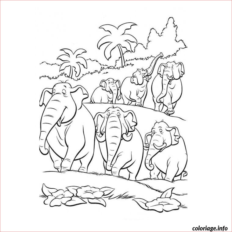 jungle et elephants coloriage