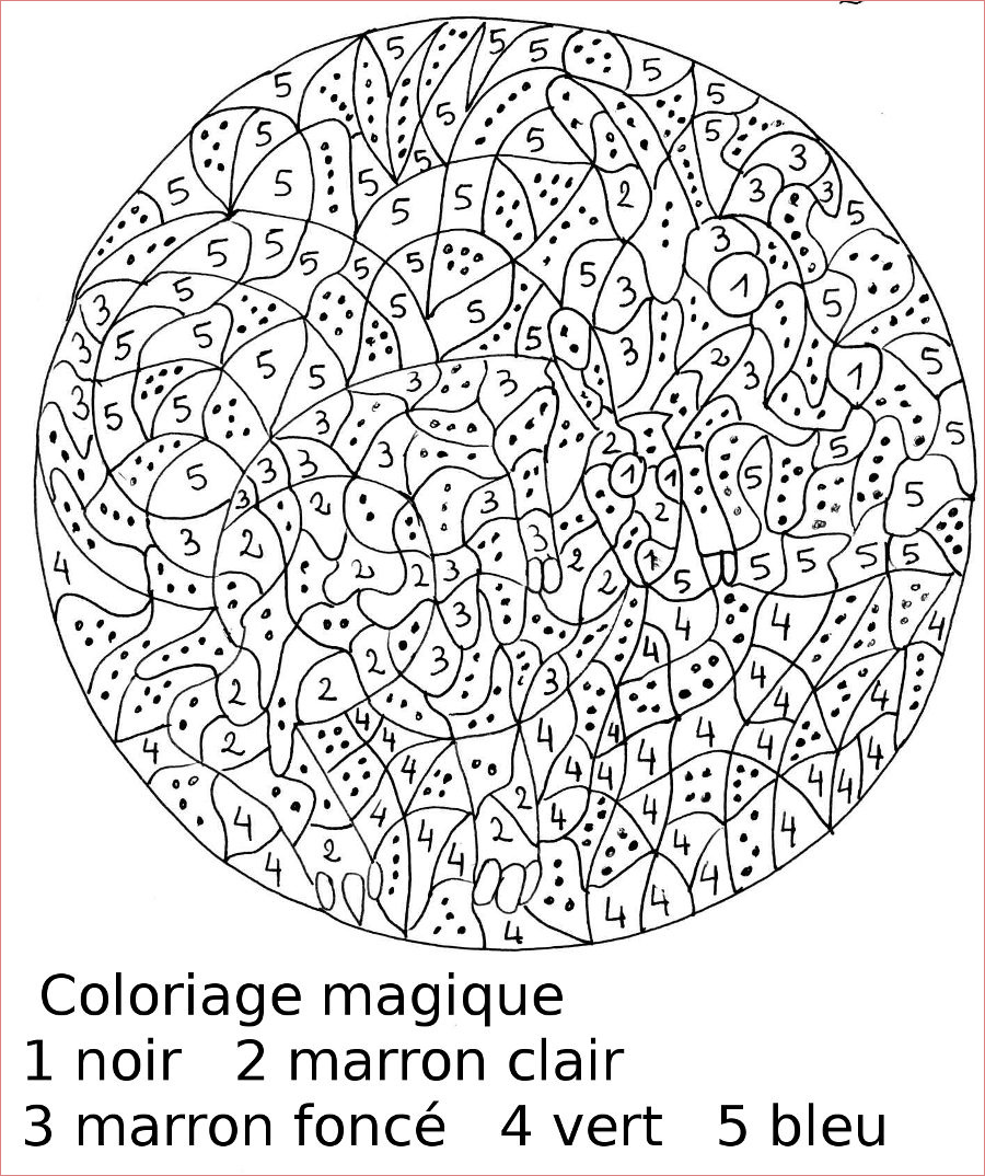 coloriage magique sur les fractions cm2