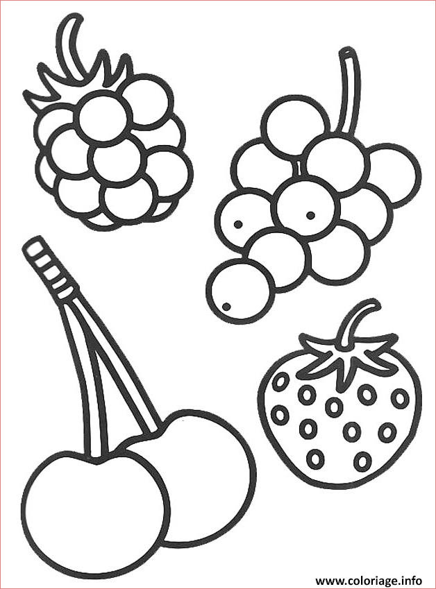Coloriage Fruit Luxe Coloriage 4 Petits Fruits Dessin