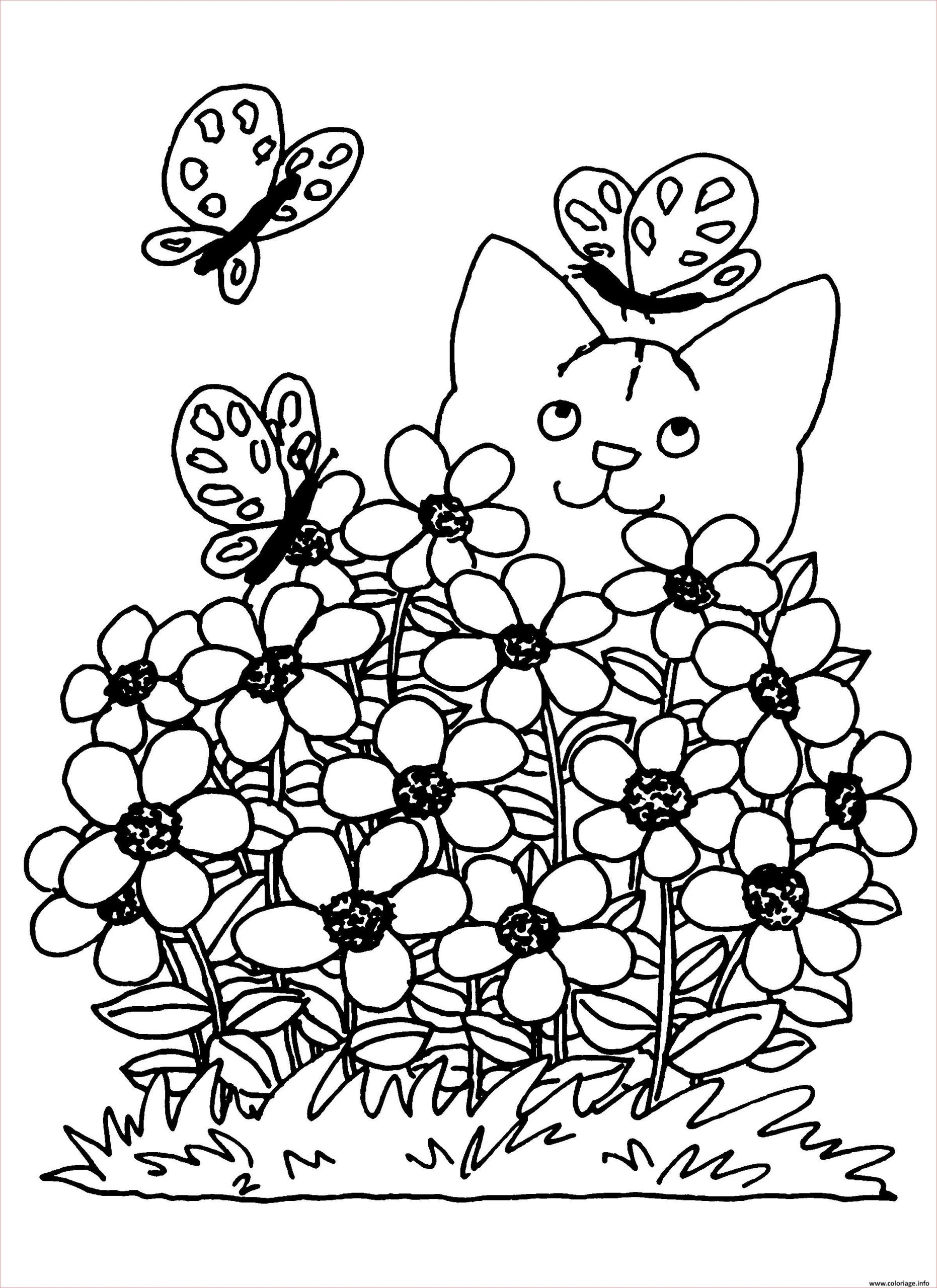 printemps chat fleurs coloriage