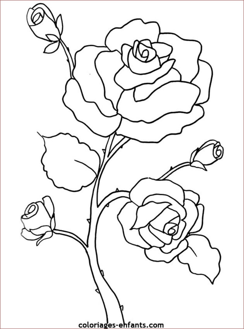 Fleurs Coloriage Unique Scenery & Spring Fleurs De Printemps Coloriage
