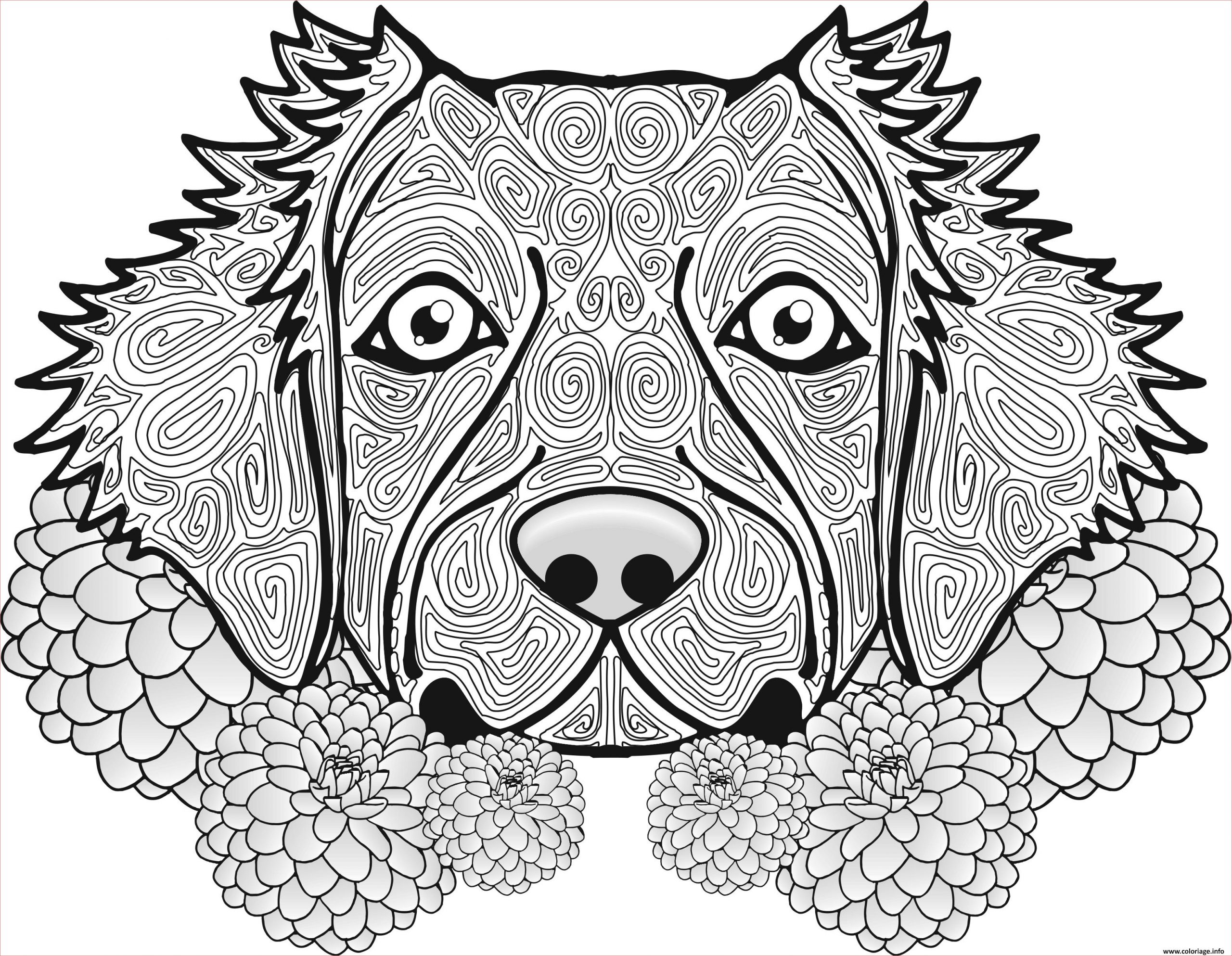 adulte chien dog animal coloriage
