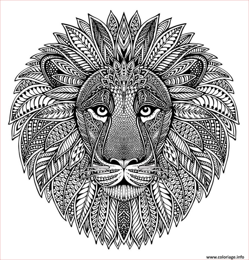 mandala animaux adulte tete de lion coloriage