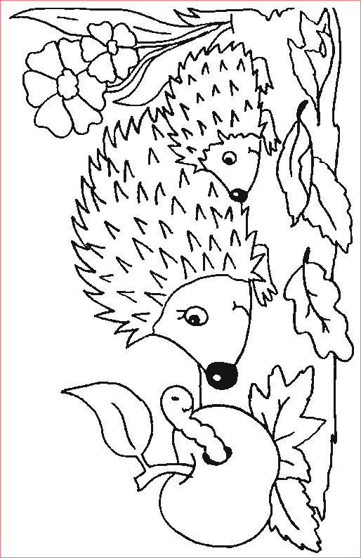 Hérisson Coloriage Génial Hedgehog Coloring Pages Coloringpages1001