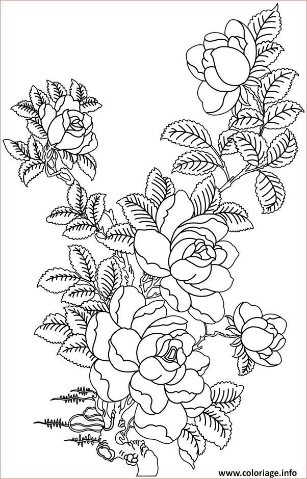 roses 60 coloriage