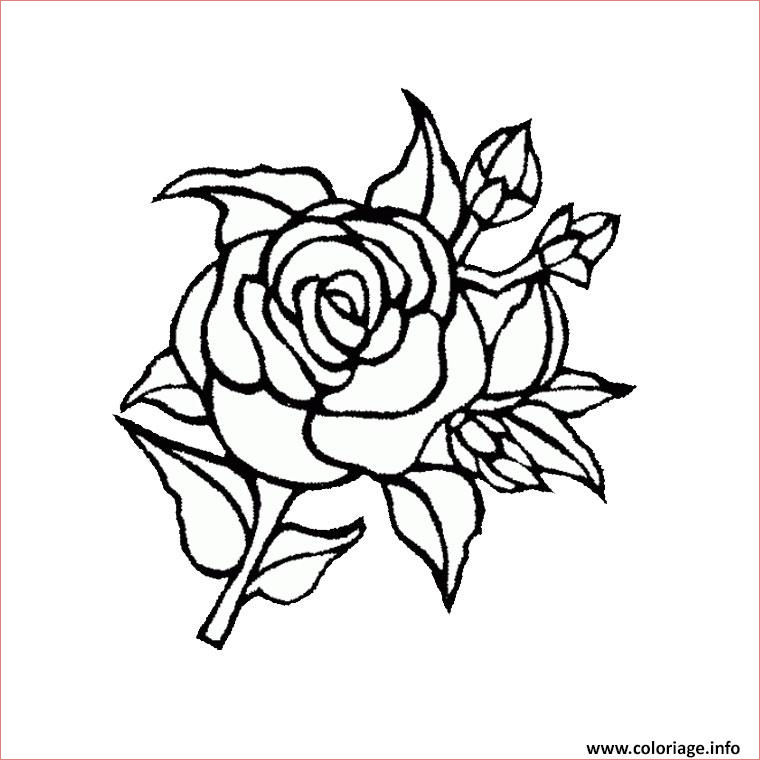roses 115 coloriage