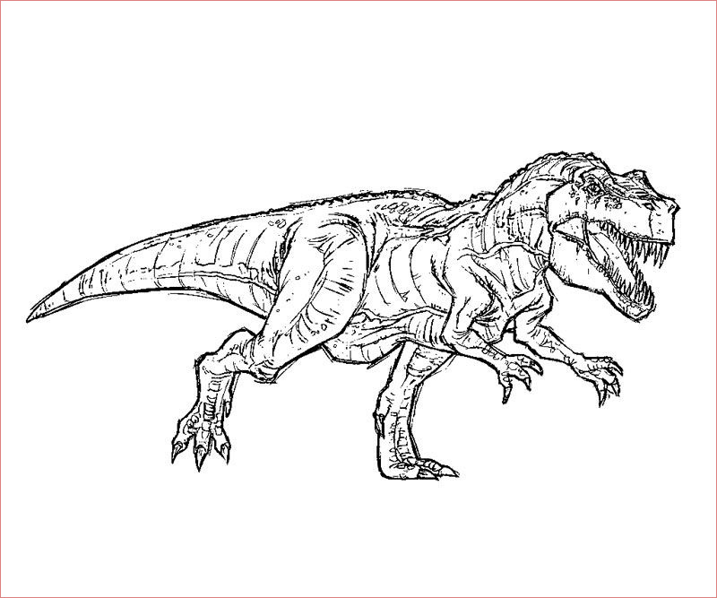 Coloriage Dinosaure Tyrex Frais Free T Rex Coloring Pages