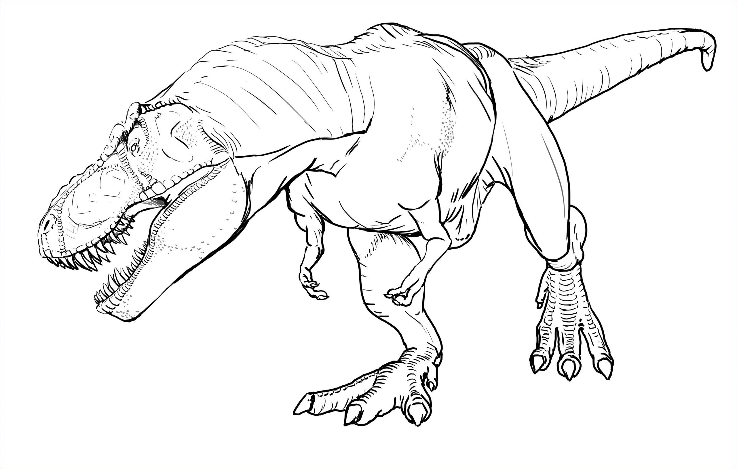 dessin a imprimer dinosaure tyrex