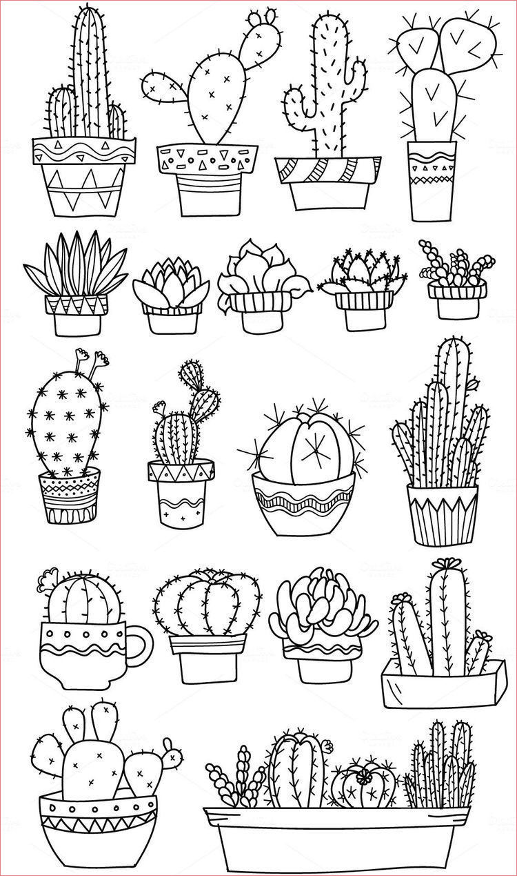 Coloriage Cactus Génial Cactus