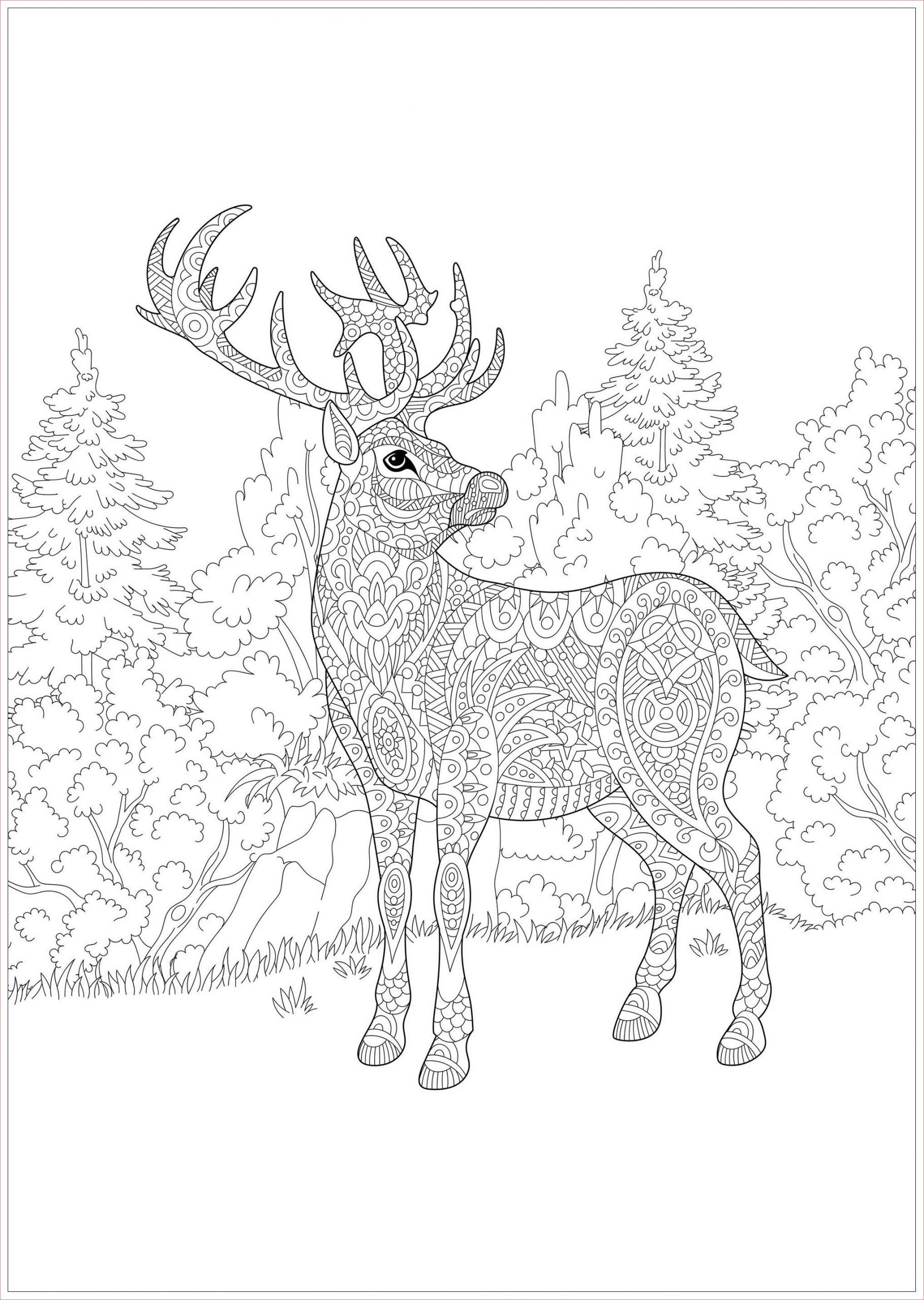 image=noel coloriage renne de noel 1