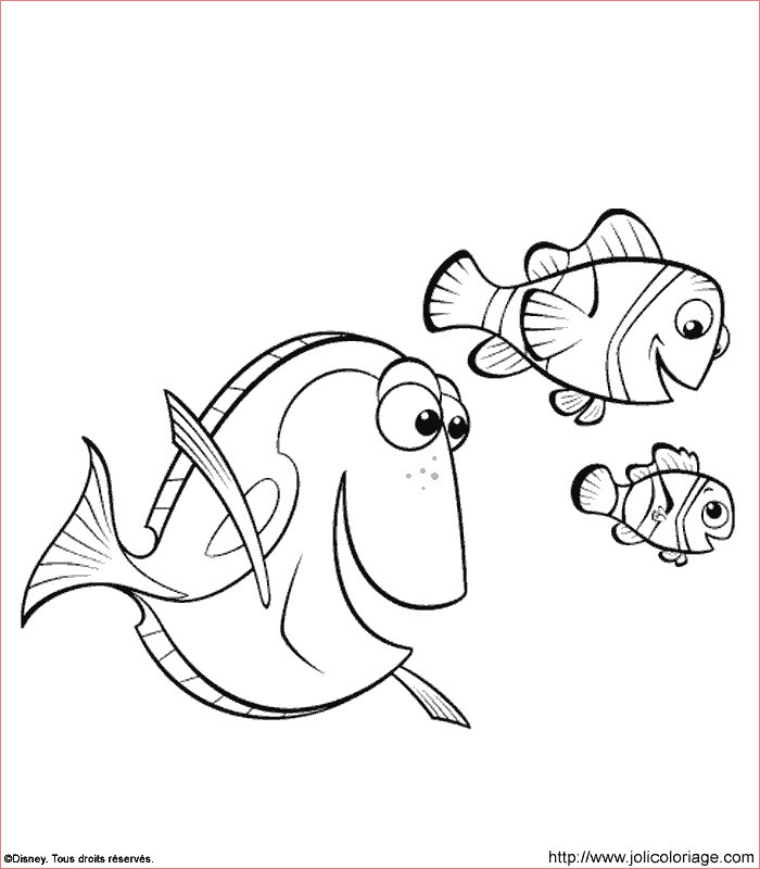 coloriage nemo nage avec ses amis