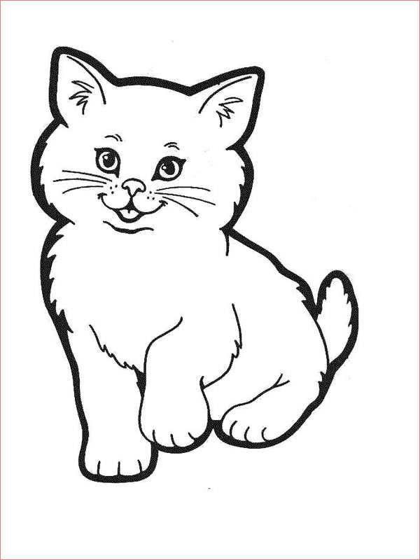 coloriage bebe chaton imprimer