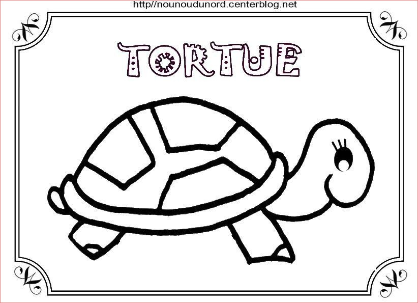 2018 coloriage tortue dessine par nounoudunord