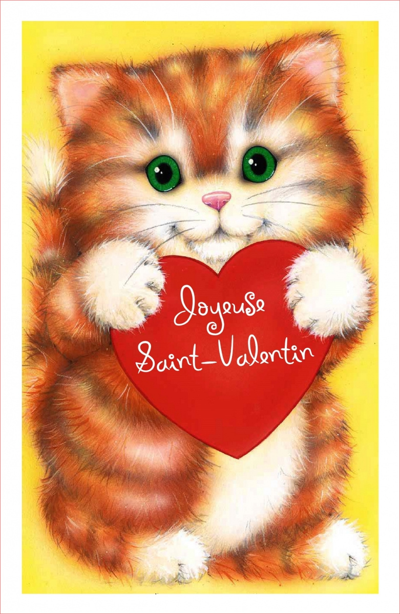 coloriage st valentin chat
