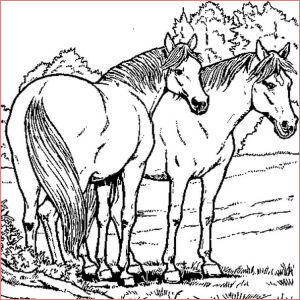 chevaux a colorier cool photos de chevaux coloriage de chevaux en ligne gratuit a