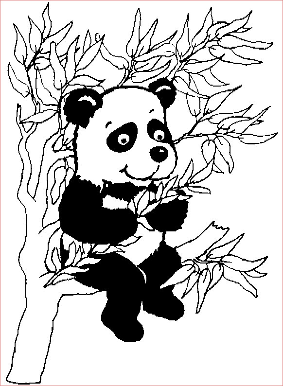 image panda dessin gratuit