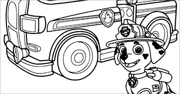 coloriage stella pat patrouille impressionnant collection coloriage et dessins pat patrouille ou paw patrol