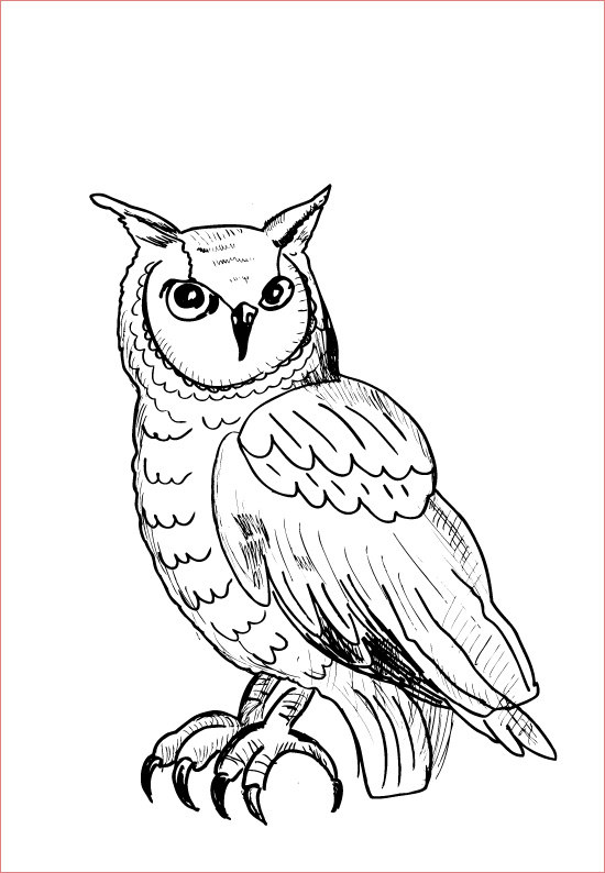 image=owls Coloring for kids owls 2