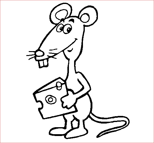 rat 2 1