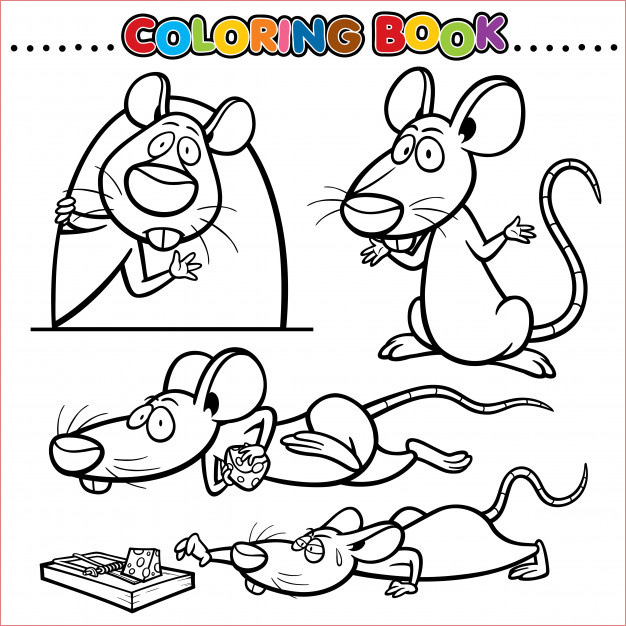 livre coloriage dessin anime rat